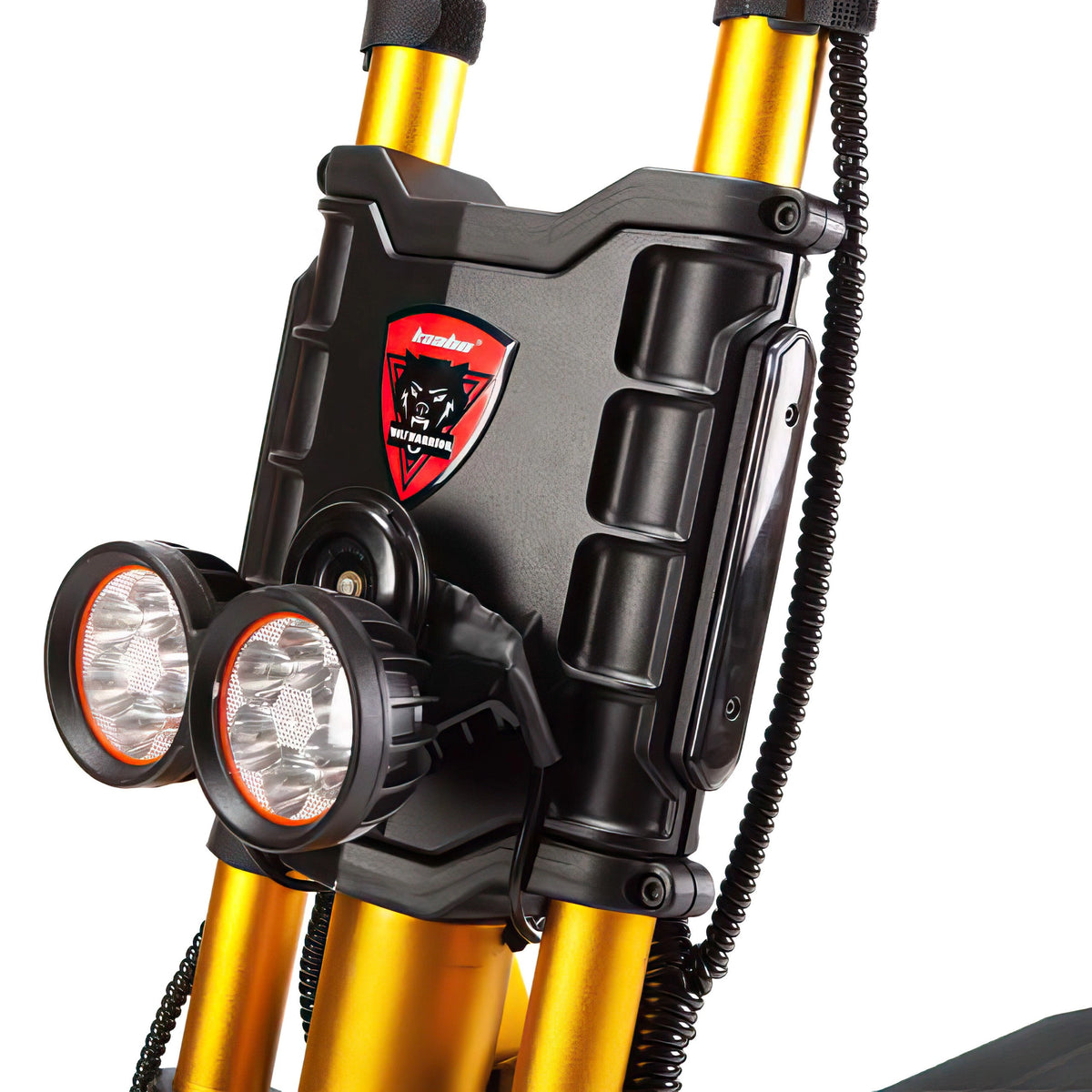 Kaabo Wolf King GTR Max Or - Vue 6