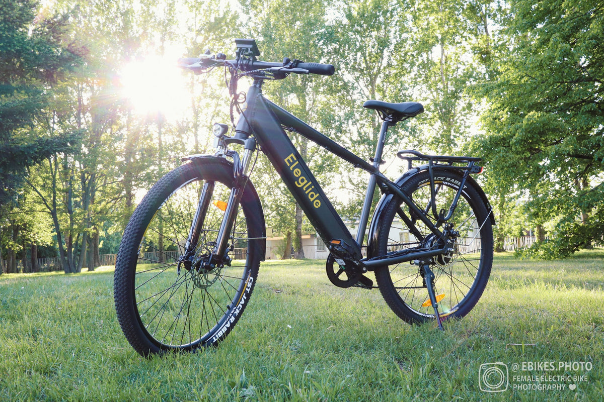 Eleglide D1 Master trottinette electrique
